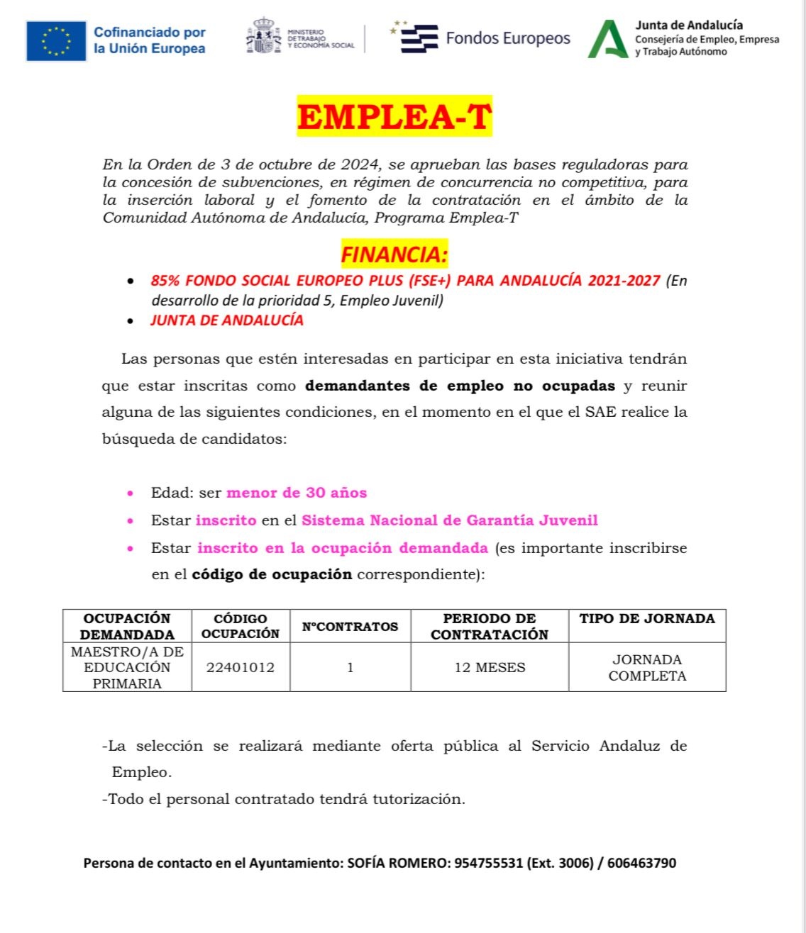 WhatsApp Image 2025-01-22 at 13.14.21